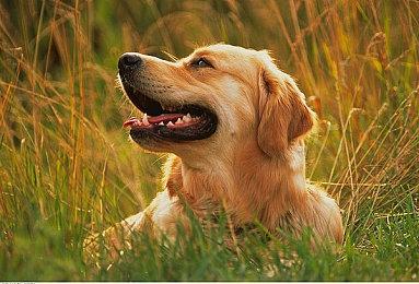 2025年近20%的新Steam游戏使用了生成式AI 十分惊人！