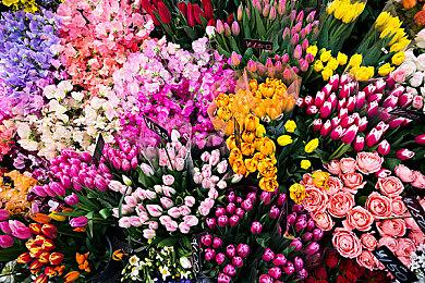 Steam最新一周销量榜 《黑神话：悟空》再上榜